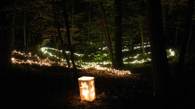 A paper lantern glowing on a woodland trail lined with strings of lights
